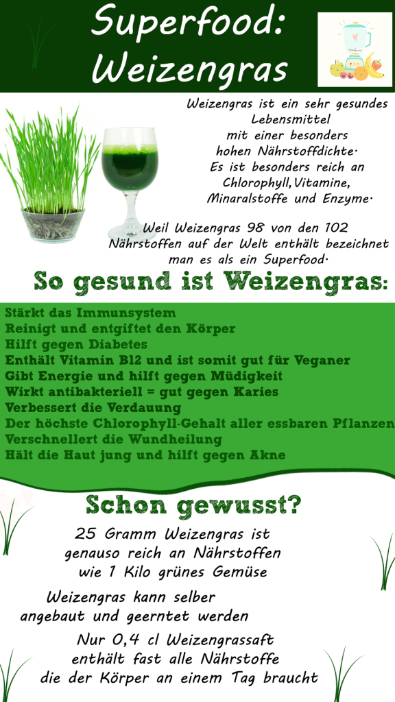 Weizengras-Infografik